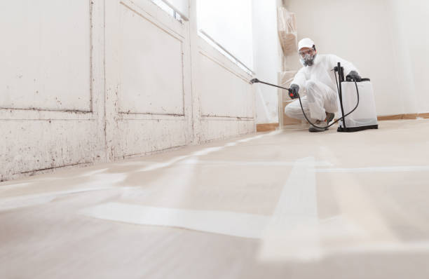 24/7 Emergency Bathroom Mold Removal experts in Annville, PA